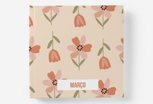 Álbum de Março intro