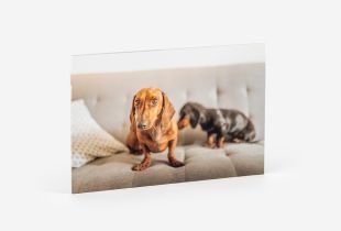 Álbum de Fotos Booklet intro