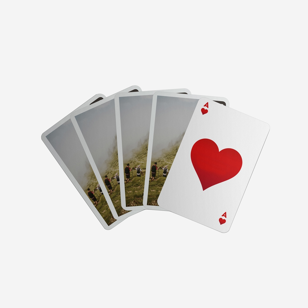 Baralho de cartas Life Guide Dad 2