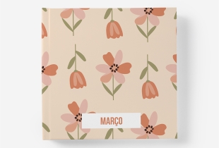 Álbum de Março intro